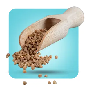 بذریجات